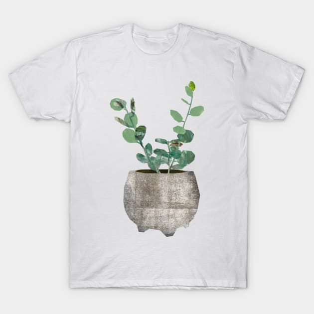 Silver dollar vine T-Shirt by Babban Gaelg